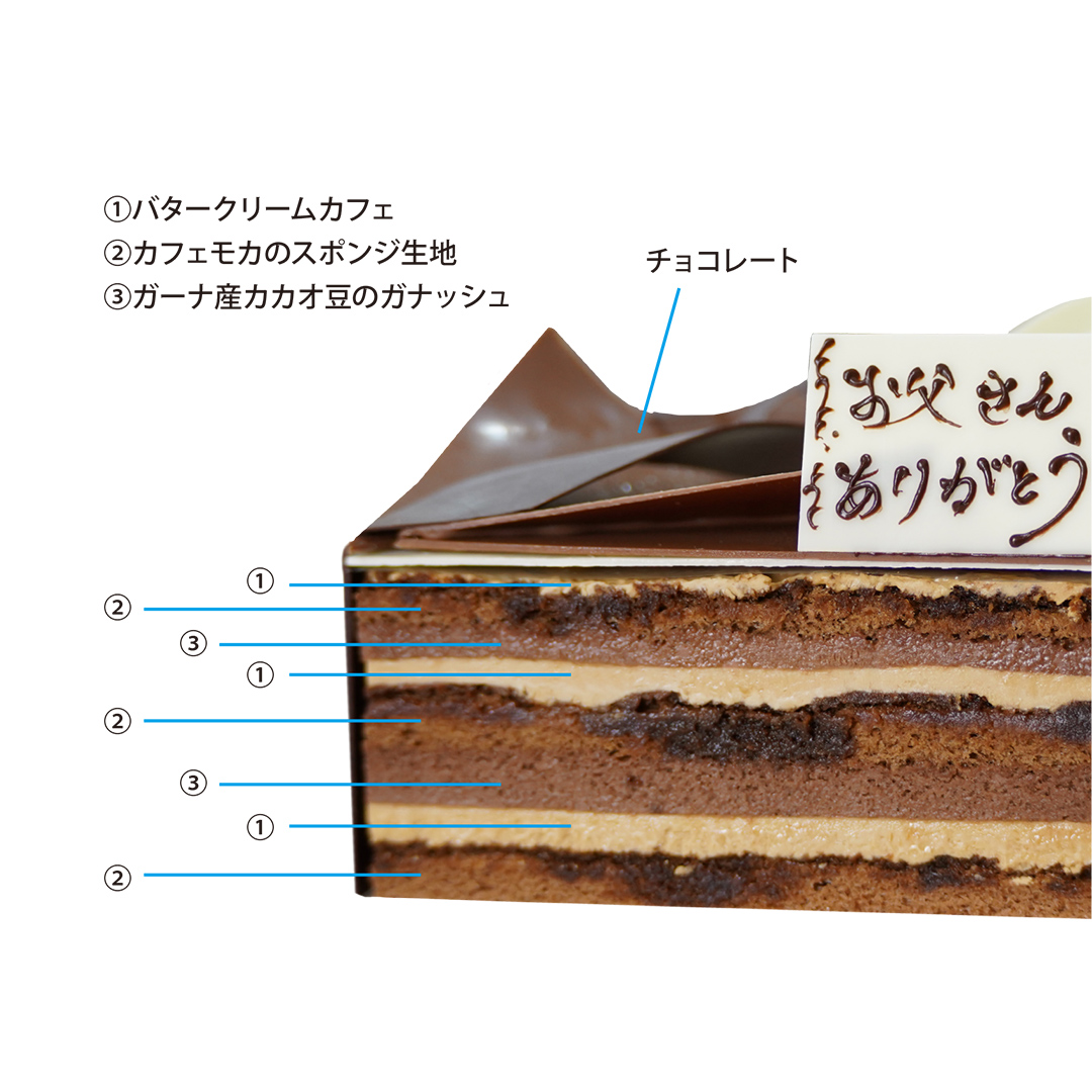 ムッシュ断面図